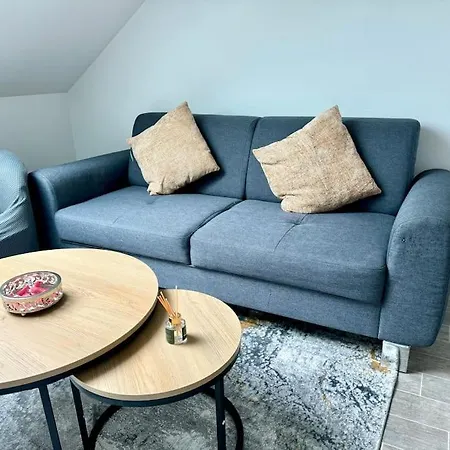 Superbe Tres Calme Et Confortable Реймс